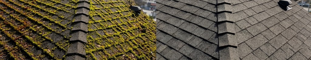 Roof moss removal before and after