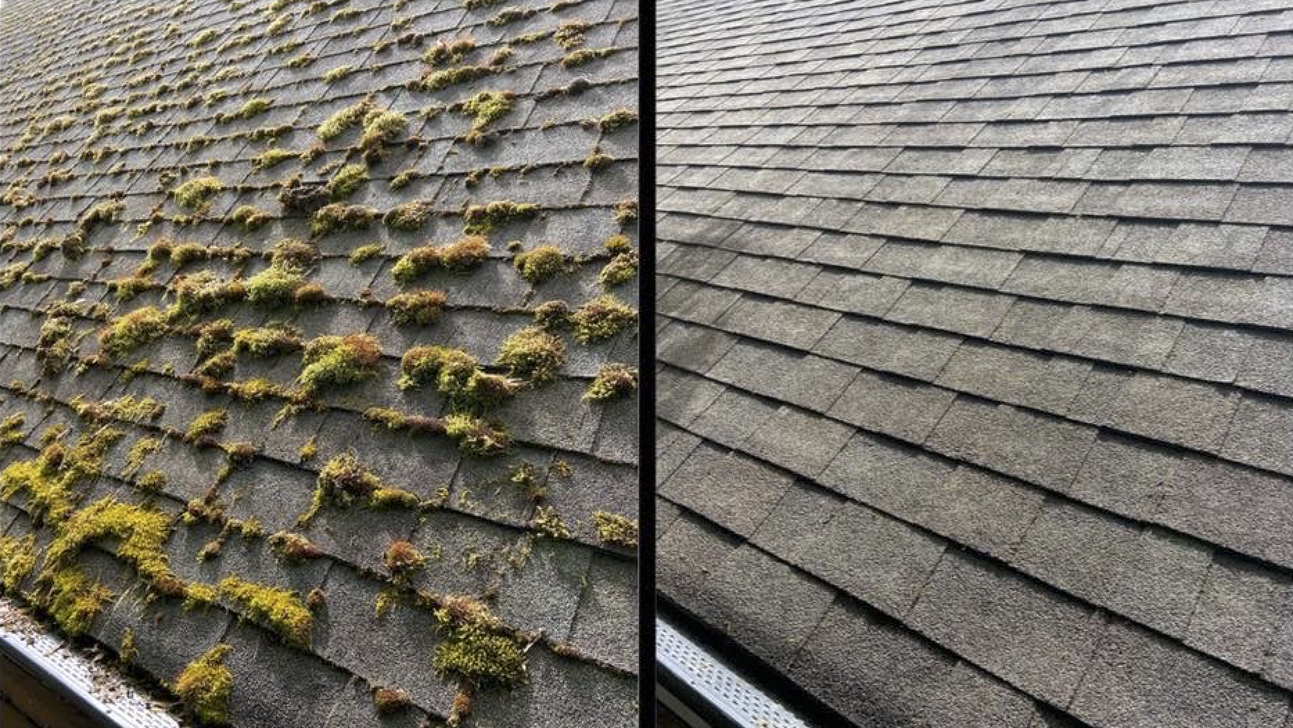 Roof moss removal