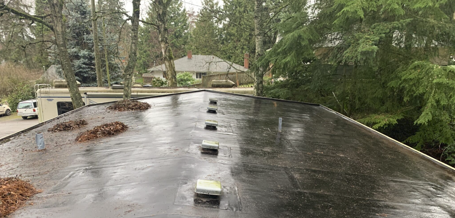 Roof after cleaning