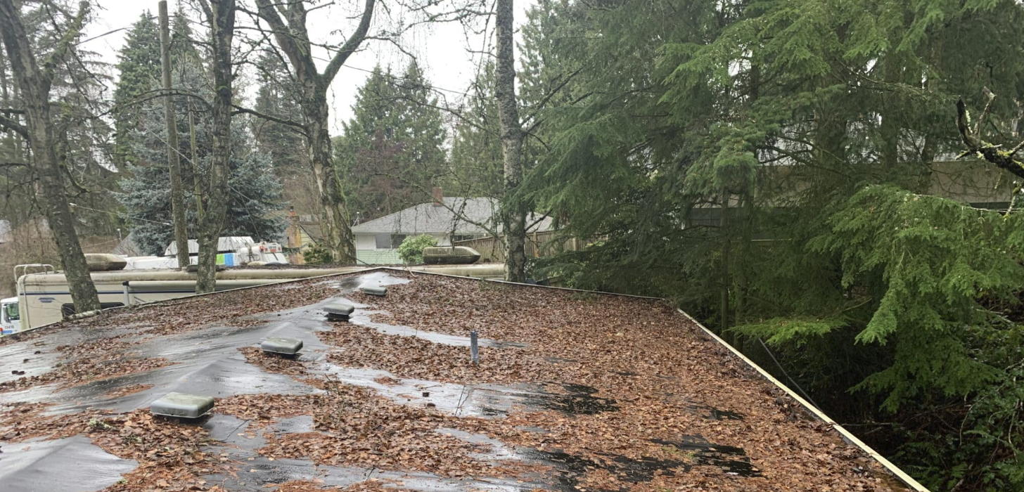 Roof before cleaning